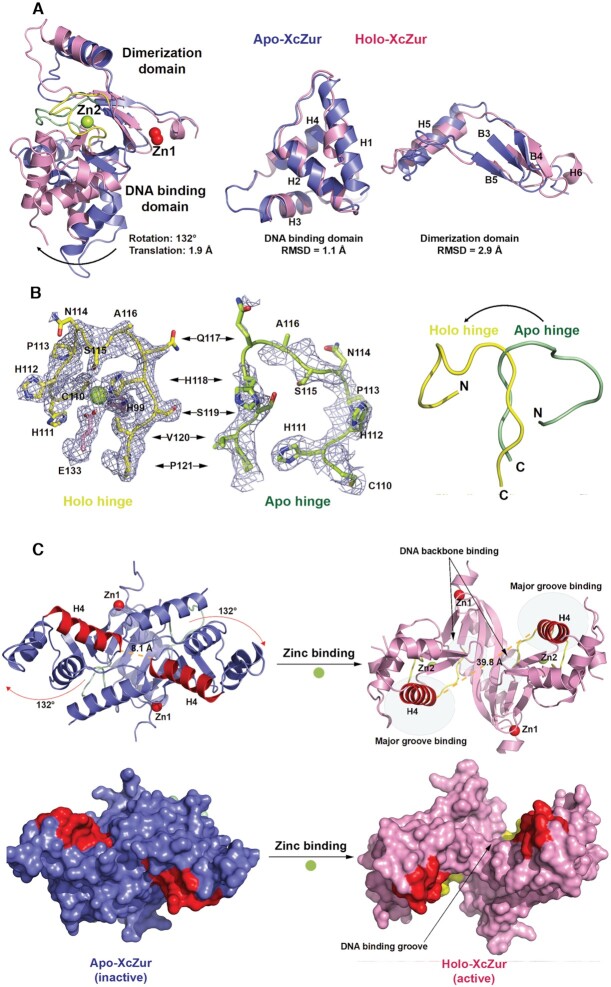 Figure 4.