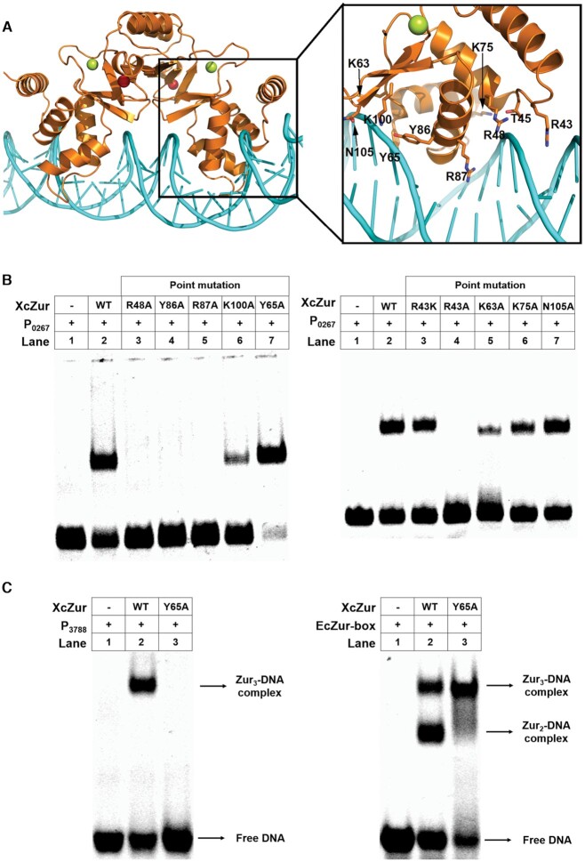 Figure 6.