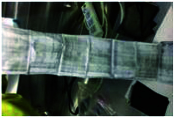 graphic file with name c9ra03629f-u3.jpg