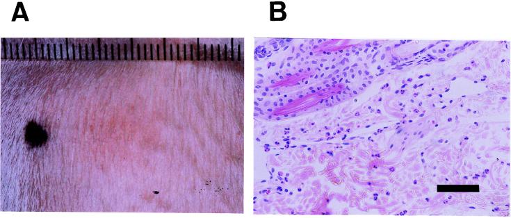 FIG. 6