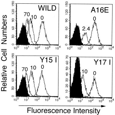 FIG. 4