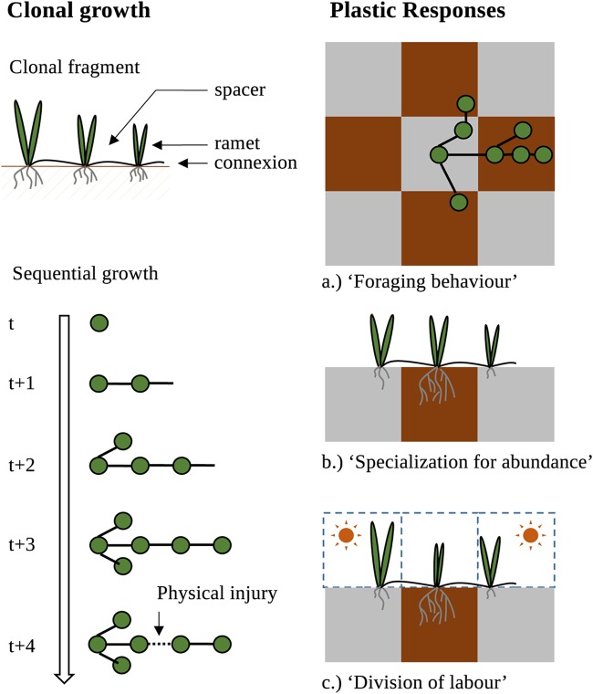 FIG 1