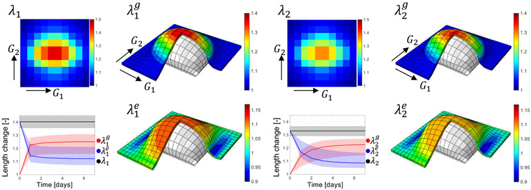 Figure 10: