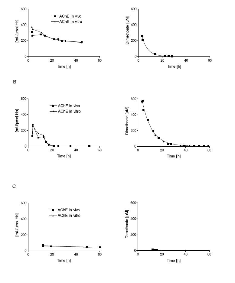 Figure 2. Influence of poison concentration and delay of obidoxime therapy on the reactivation of erythrocyte AChE.