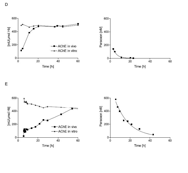 Figure 2. Influence of poison concentration and delay of obidoxime therapy on the reactivation of erythrocyte AChE.