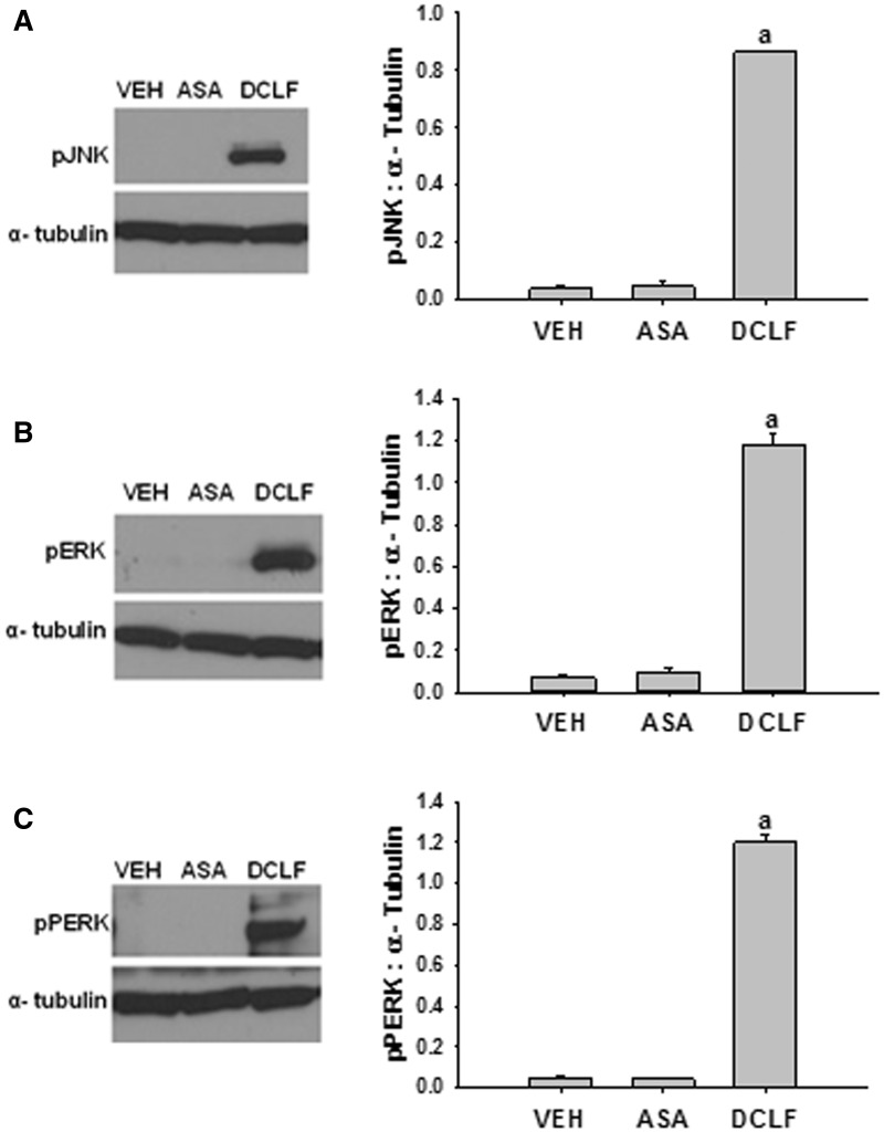 FIG. 9.