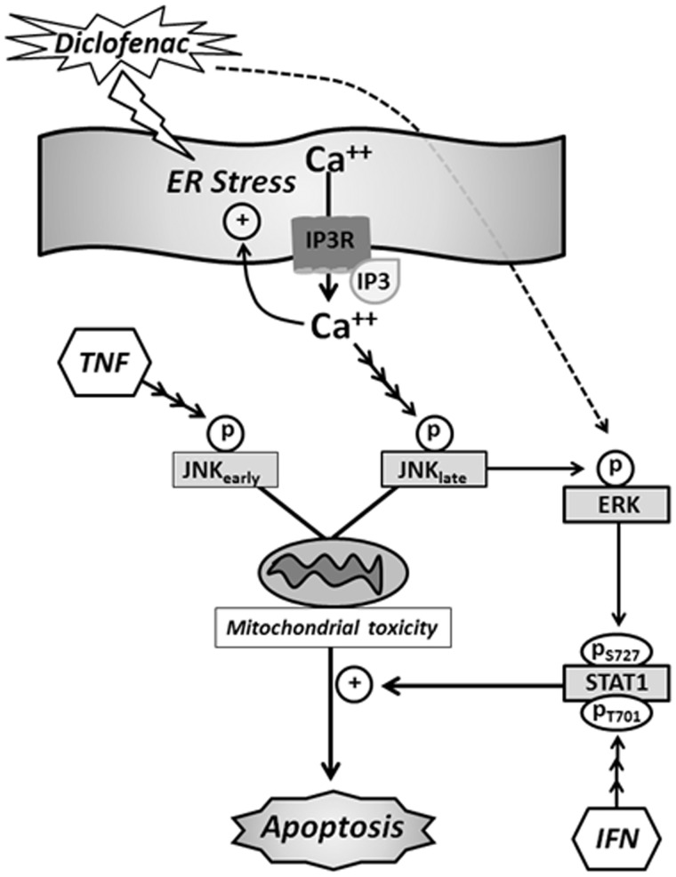 FIG. 10.