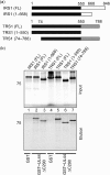 Fig. 6.