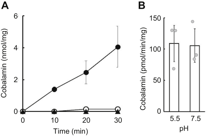 Figure 3