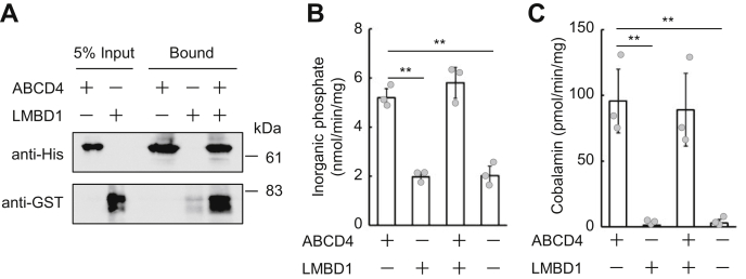 Figure 4