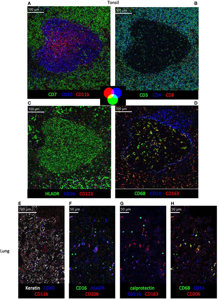 Figure 3