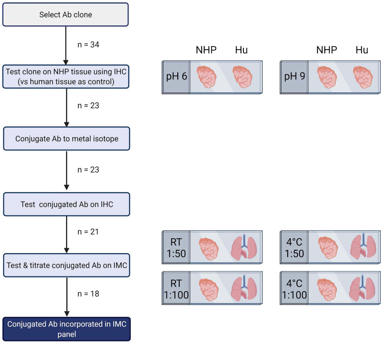 Figure 1