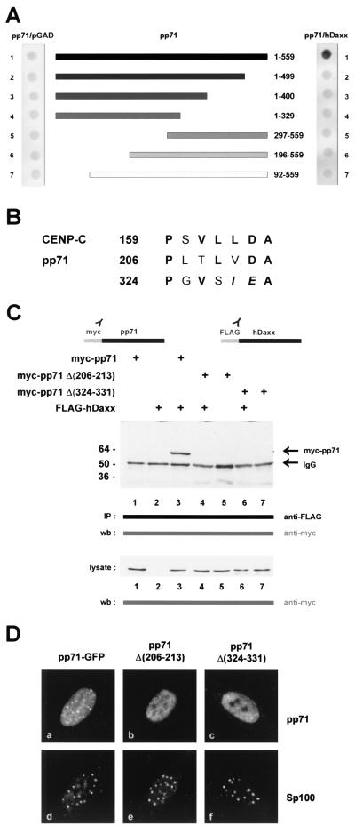 FIG. 8.