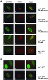 FIG. 6.