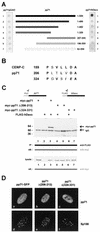 FIG. 8.