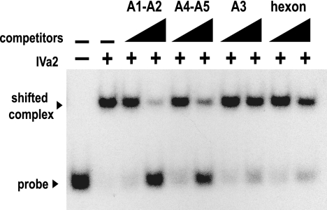 FIG. 4.