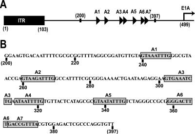 FIG. 1.