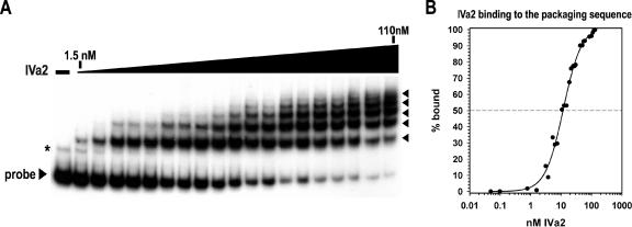 FIG. 6.