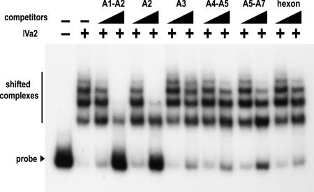 FIG. 7.