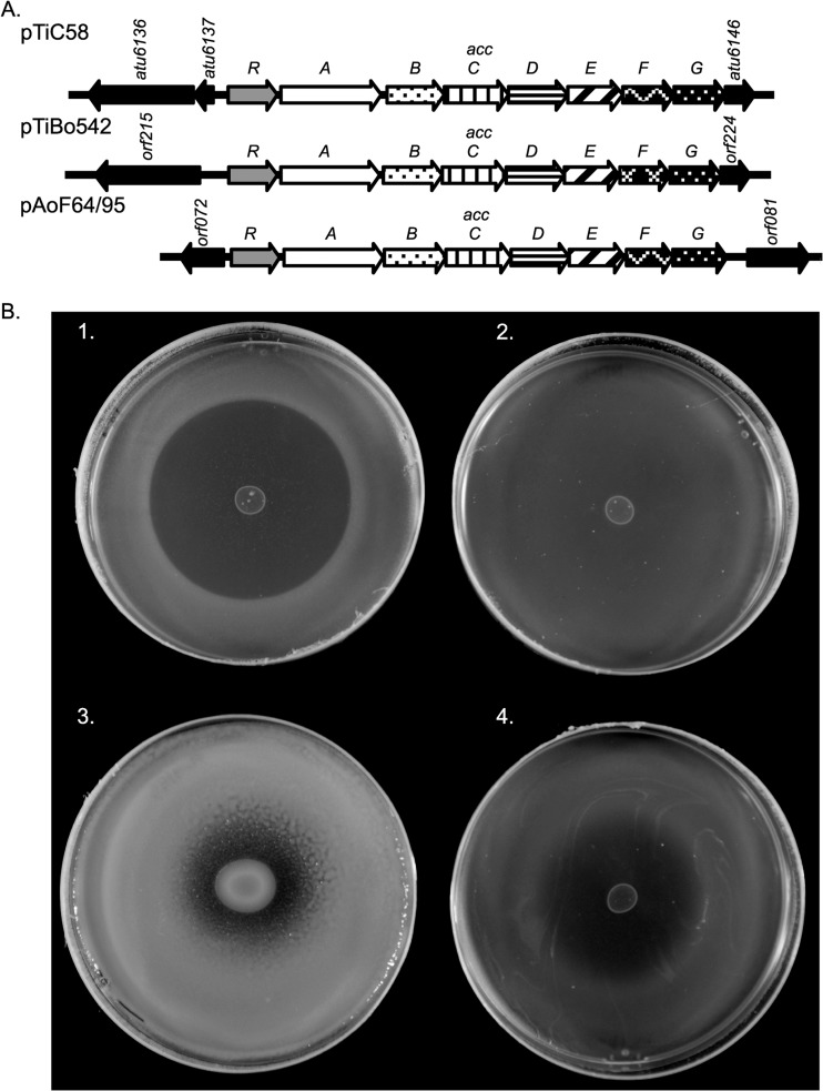 FIG 5