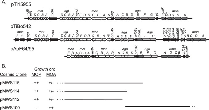 FIG 4