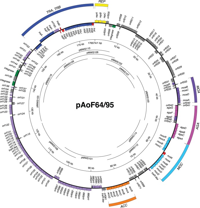 FIG 3