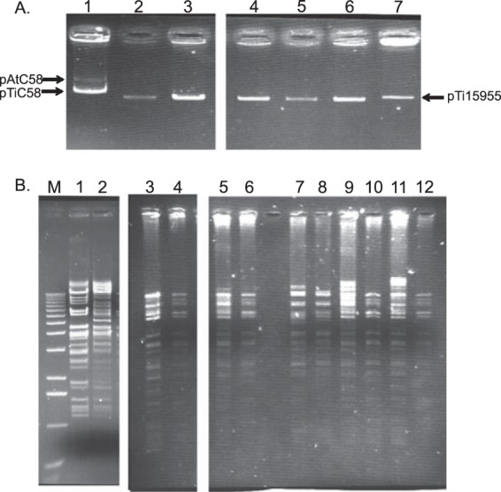 FIG 1