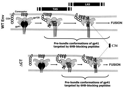 FIG. 8.