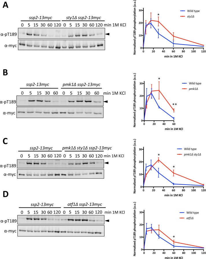 FIGURE 7: