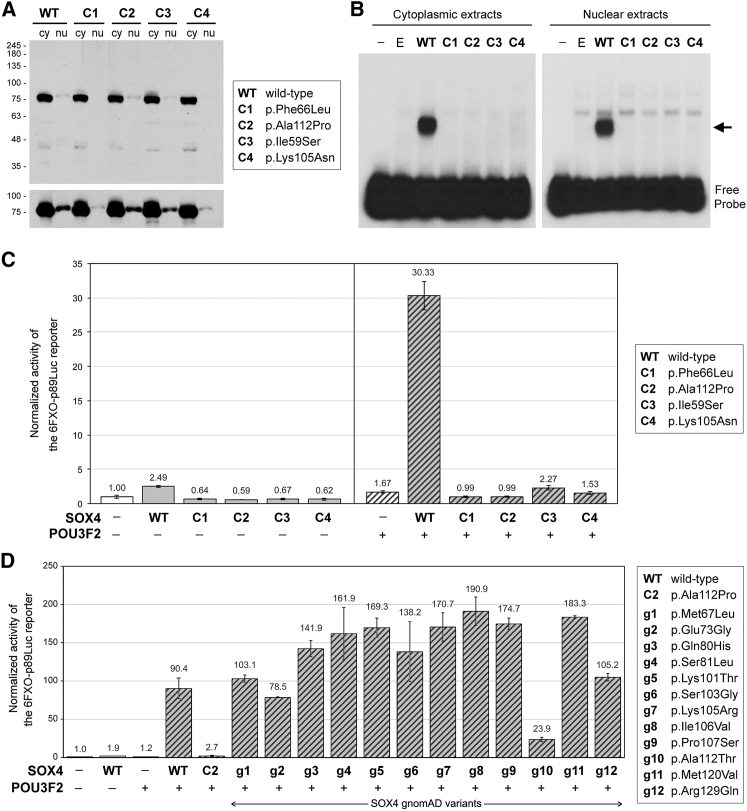 Figure 6