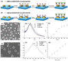 Figure 24