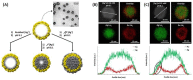 Figure 18