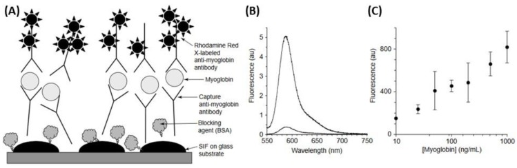 Figure 28