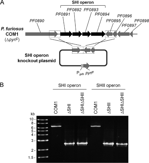 FIG. 3.