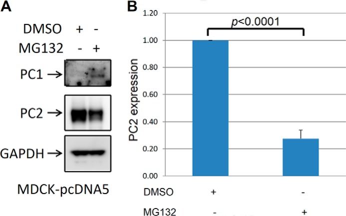 FIGURE 10.