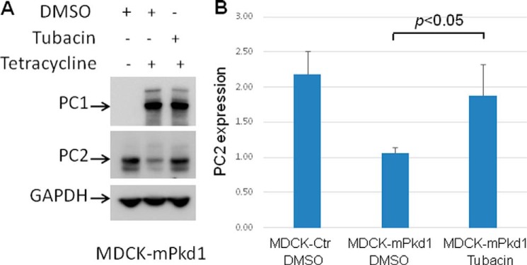 FIGURE 12.