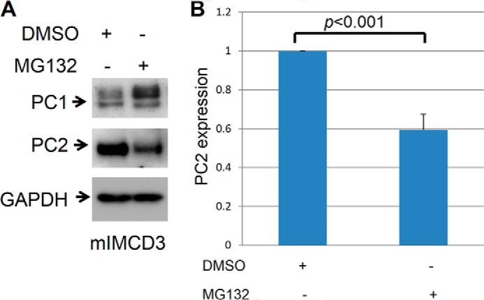 FIGURE 11.