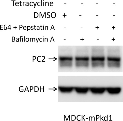 FIGURE 18.