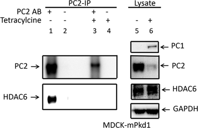 FIGURE 14.