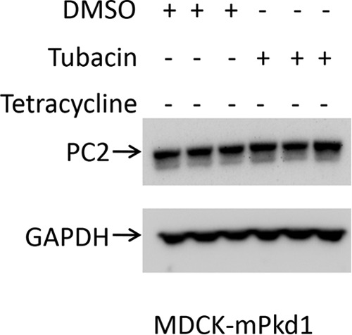 FIGURE 13.