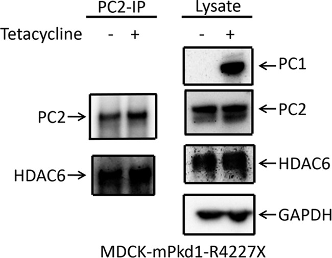 FIGURE 15.