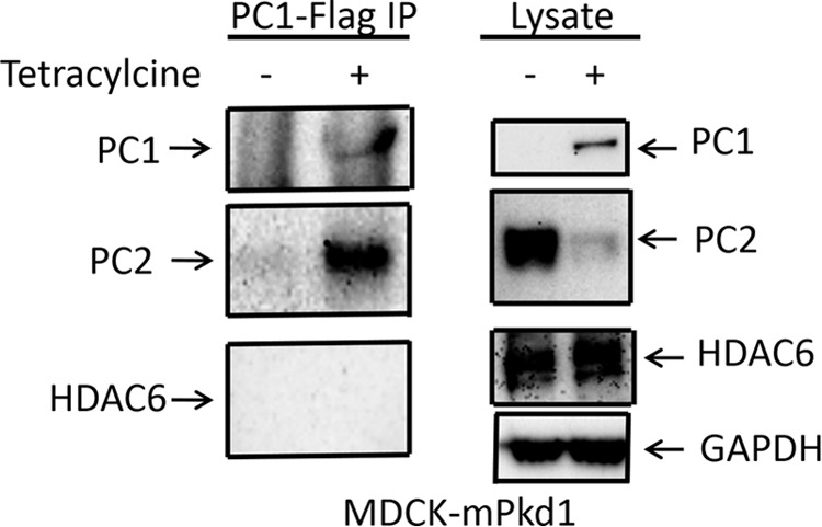 FIGURE 16.