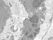 Fig. 1.