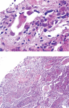 Fig. 4.
