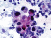 Fig. 3.