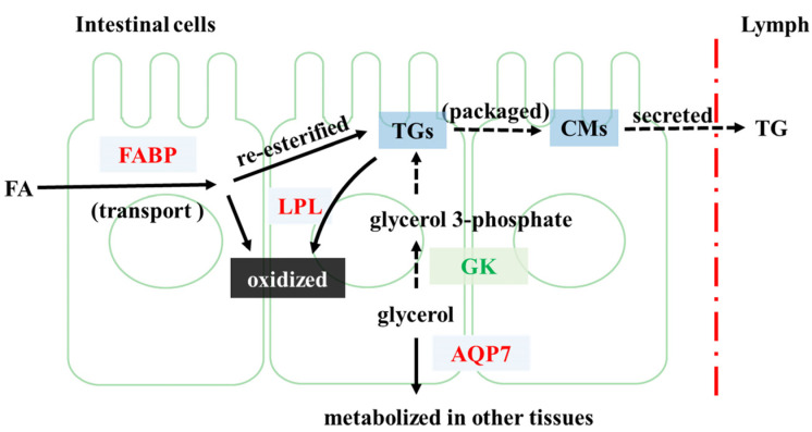 Figure 6