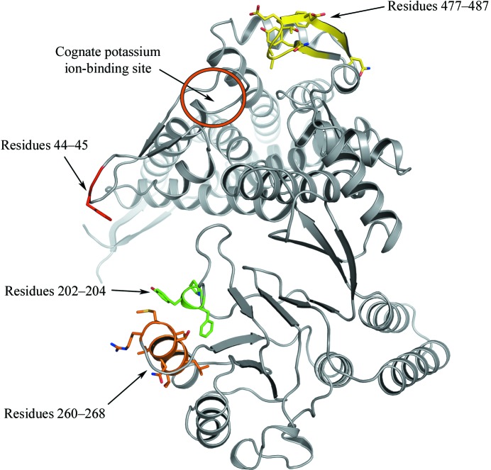 Figure 2