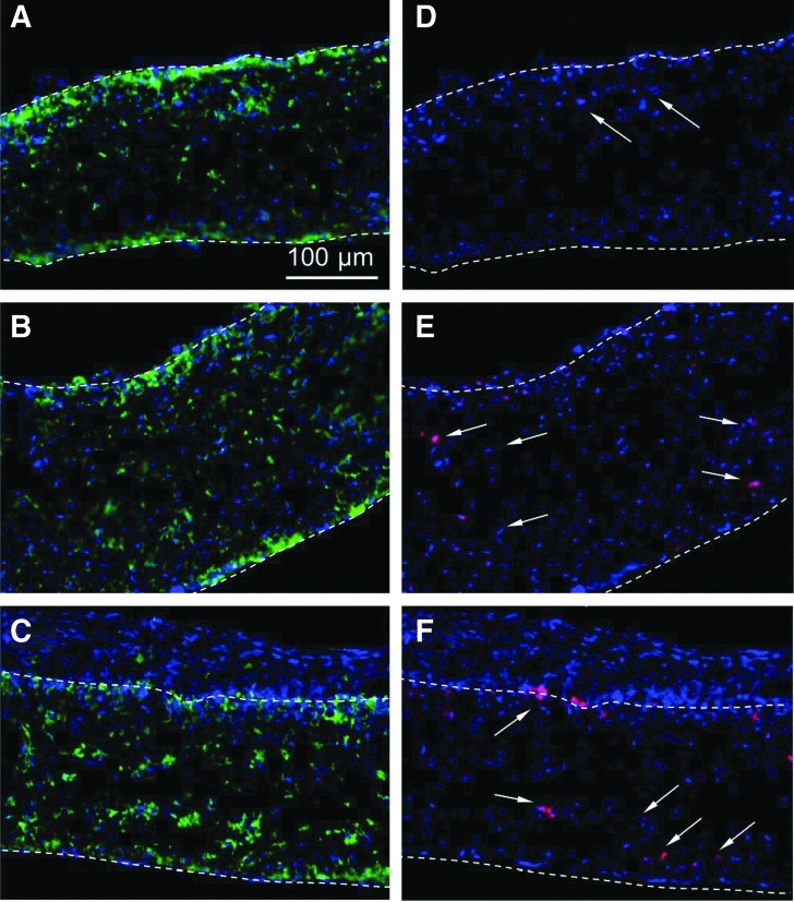 FIG. 9.