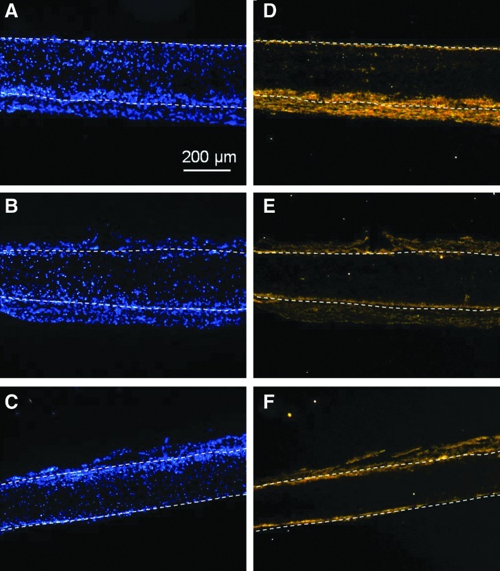 FIG. 10.