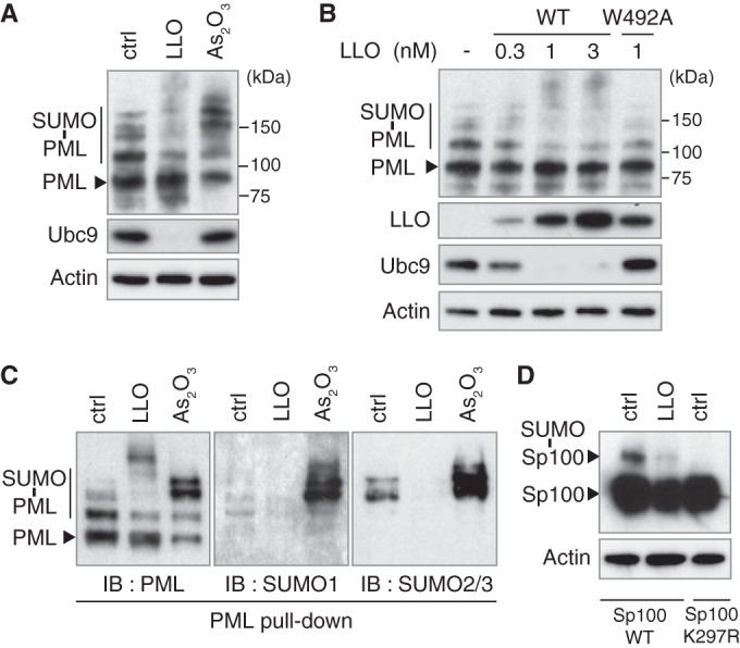 FIG 4 